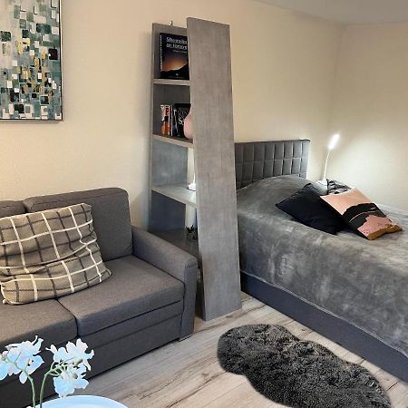 Alice Apartment Wackernheim Ingelheim-sur-le-Rhin Extérieur photo