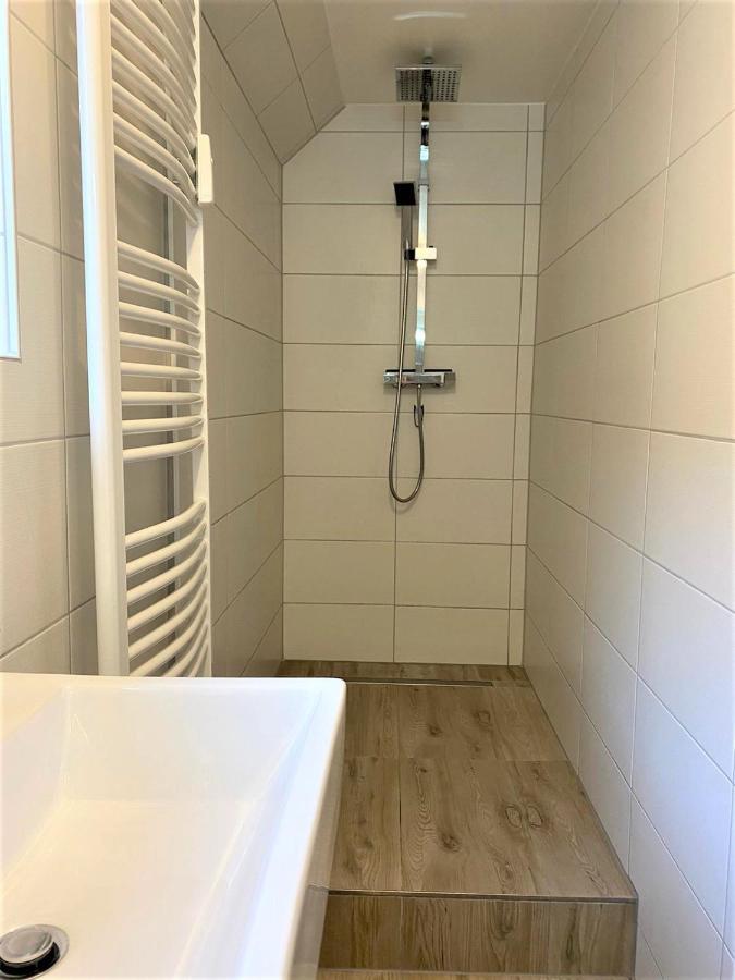 Alice Apartment Wackernheim Ingelheim-sur-le-Rhin Extérieur photo
