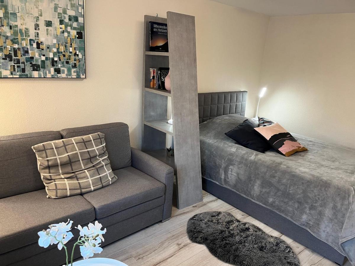 Alice Apartment Wackernheim Ingelheim-sur-le-Rhin Extérieur photo