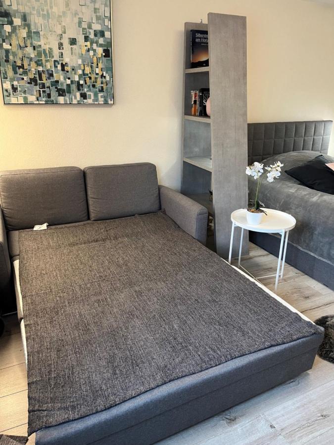 Alice Apartment Wackernheim Ingelheim-sur-le-Rhin Extérieur photo